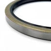 Oil seal 146,05x171,45x12,7 TA NBR