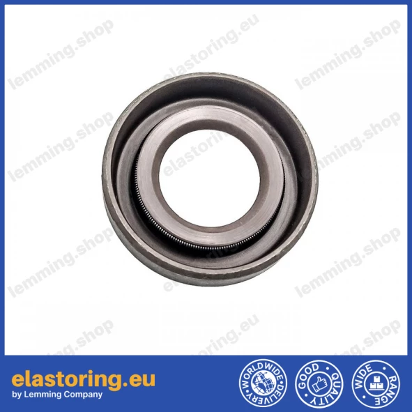 Oil seal 14x26x7 SB FPM