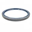 Oil seal 160x185x13 B1SL NBR Oil seal 160x185x13 B1SL NBR