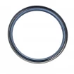 Oil seal 160x185x13 B1SL NBR Oil seal 160x185x13 B1SL NBR