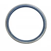 Oil seal 160x185x13 B1SL NBR Oil seal 160x185x13 B1SL NBR