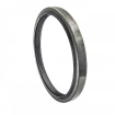 Oil seal 162x187,3x16 B1SLDRWX6 NBR Oil seal 162x187,3x16 B1SLDRWX6 NBR