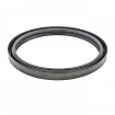 Oil seal 162x187,3x16 B1SLDRWX6 NBR Oil seal 162x187,3x16 B1SLDRWX6 NBR