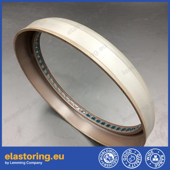Oil seal 168x188/192,5x30/32 B1SL Oil seal 168x188/192,5x30/32 B1SL