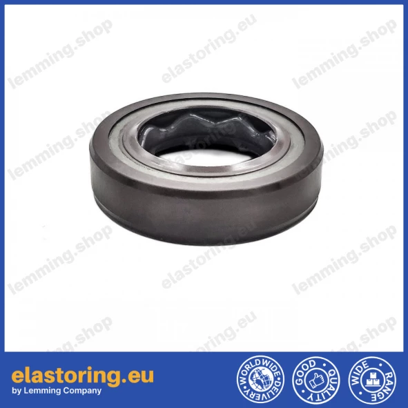 Oil seal 17x28x7 BAFSL1SF FPM Oil seal 17x28x7 BAFSL1SF FPM