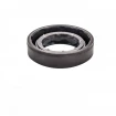 Oil seal 17x28x7 BAFSL1SF FPM Oil seal 17x28x7 BAFSL1SF FPM