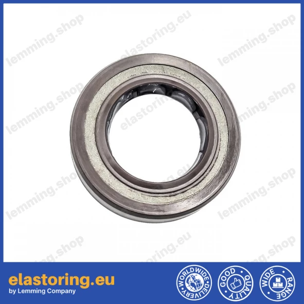 Oil seal 17x28x7 BAFSL1SF FPM Oil seal 17x28x7 BAFSL1SF FPM