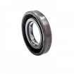 Oil seal 17x30x6 BAFSL1SF FPM MA16 Oil seal 17x30x6 BAFSL1SF FPM MA16
