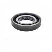 Oil seal 17x30x6 BAFSL1SF FPM MA16 Oil seal 17x30x6 BAFSL1SF FPM MA16