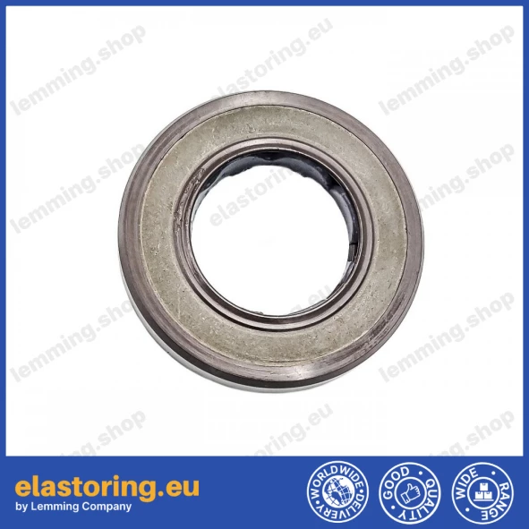 Oil seal 17x30x6 BAFSL1SF FPM MA16 Oil seal 17x30x6 BAFSL1SF FPM MA16