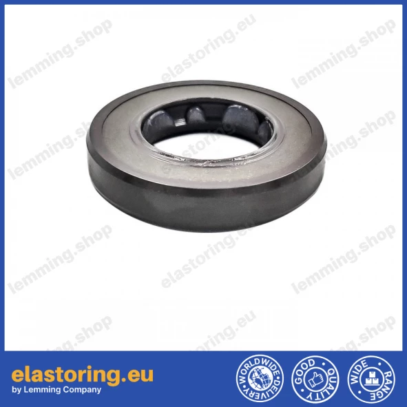 Oil seal 17x30x6 BAFSL1SF FPM MA16 Oil seal 17x30x6 BAFSL1SF FPM MA16