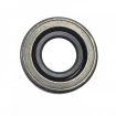 Oil seal 17x35x8 SA NBR