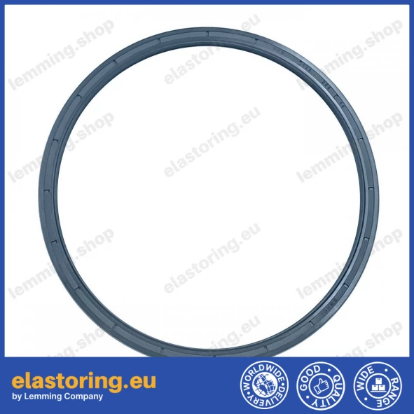 Oil seal 185x205x10 PPS NBR