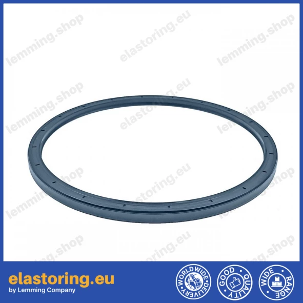 Oil seal 185x205x10 PPS NBR