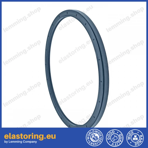 Oil seal 185x205x10 PPS NBR