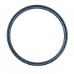 Oil seal 185x205x10 PPS NBR
