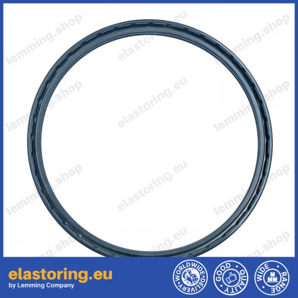 Oil seal 185x205x10 PPS NBR
