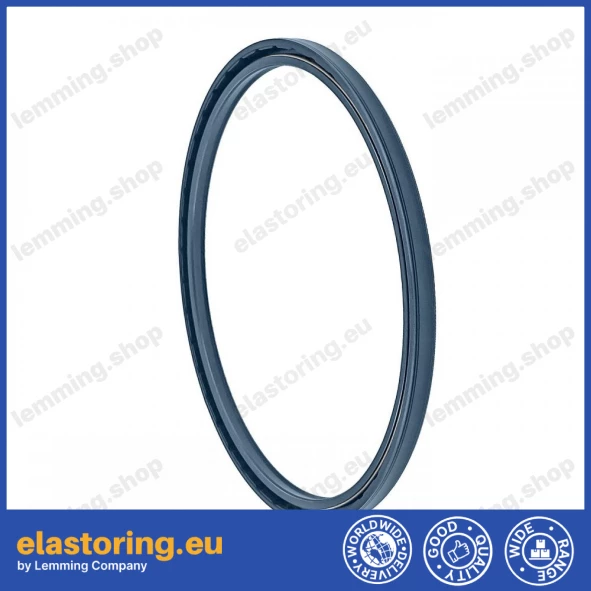 Oil seal 185x205x10 PPS NBR
