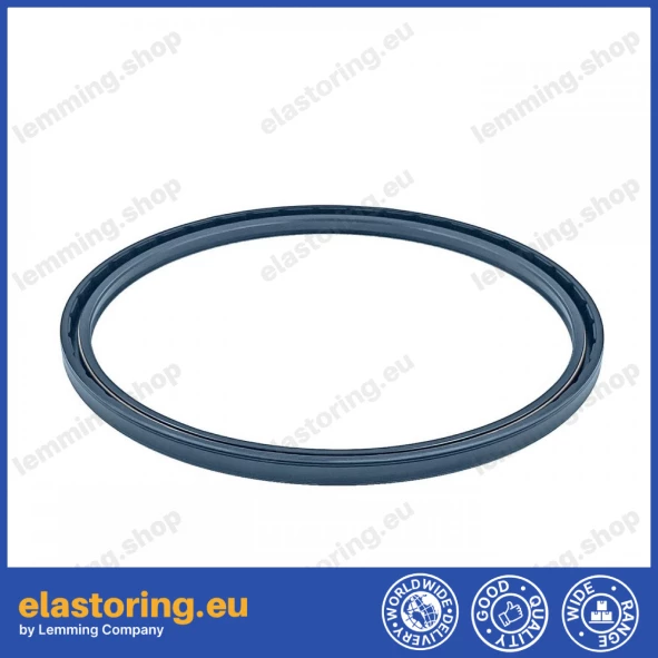 Oil seal 185x205x10 PPS NBR