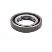 Pressure Oil Seal 18x30x6 BAFSL1SF FPM Pressure Oil Seal 18x30x6 BAFSL1SF FPM