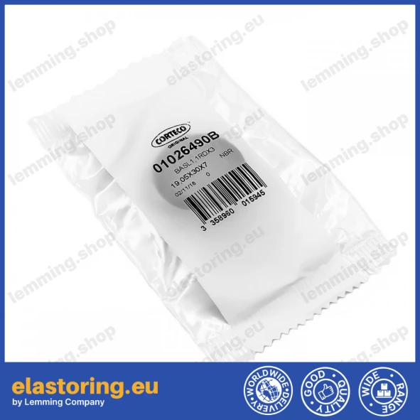 Oil seal 19,05x30x7 BASL1,1RDX3 NBR Oil seal 19,05x30x7 BASL1,1RDX3 NBR