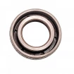 Oil seal 19,05x33,3x7,9 B1VISLRD FPM Oil seal 19,05x33,3x7,9 B1VISLRD FPM