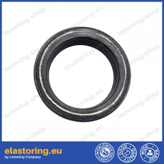 Oil seal 19x26x2,5/4,8 SVY NBR