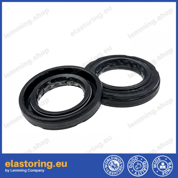 Oil seal 19x30x5/6 ASL-1PM Oil seal 19x30x5/6 ASL-1PM