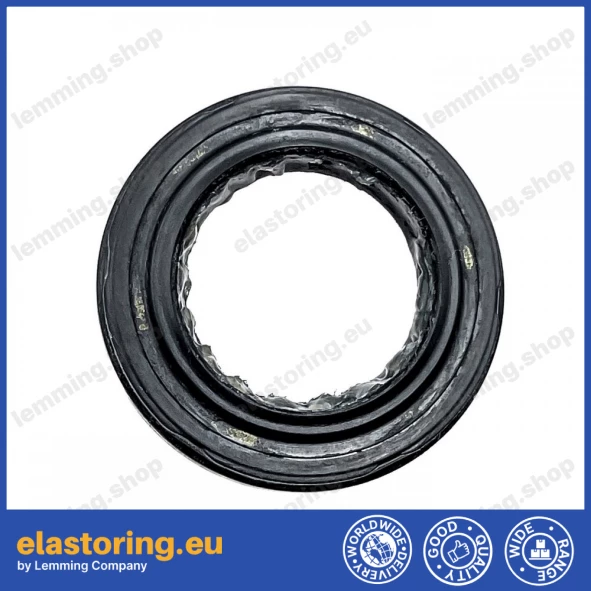 Oil seal 19x30x5/6 ASL-1PM Oil seal 19x30x5/6 ASL-1PM