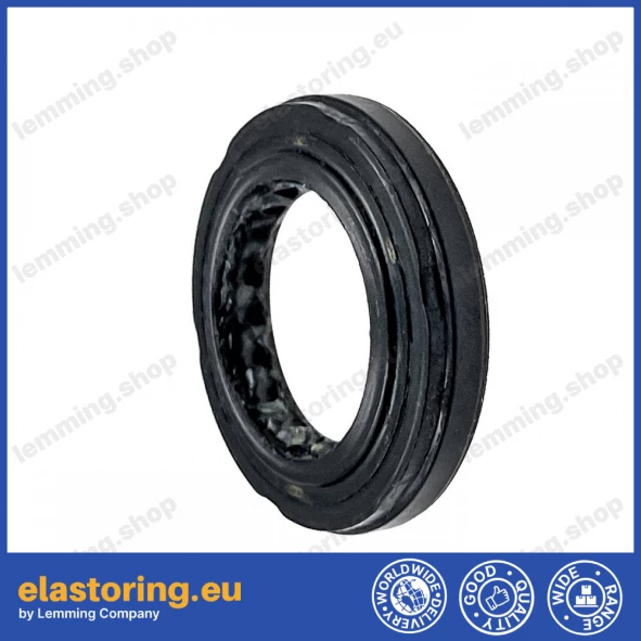 Oil seal 19x30x5/6 ASL-1PM Oil seal 19x30x5/6 ASL-1PM