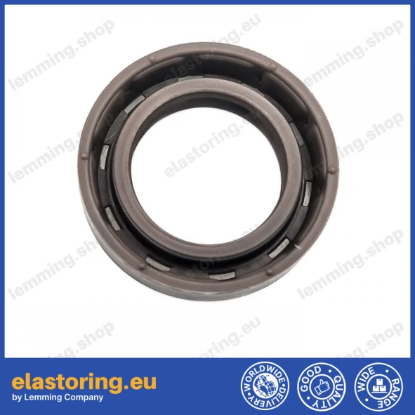 Oil seal 19x30x6,5 BAVILDSLX7 FPM