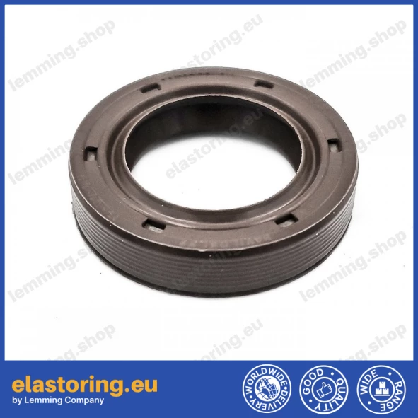 Oil seal 19x30x6,5 BAVILDSLX7 FPM