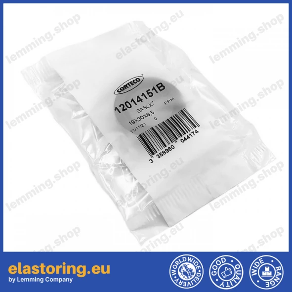 Oil seal 19x30x6,5 BAVILDSLX7 FPM