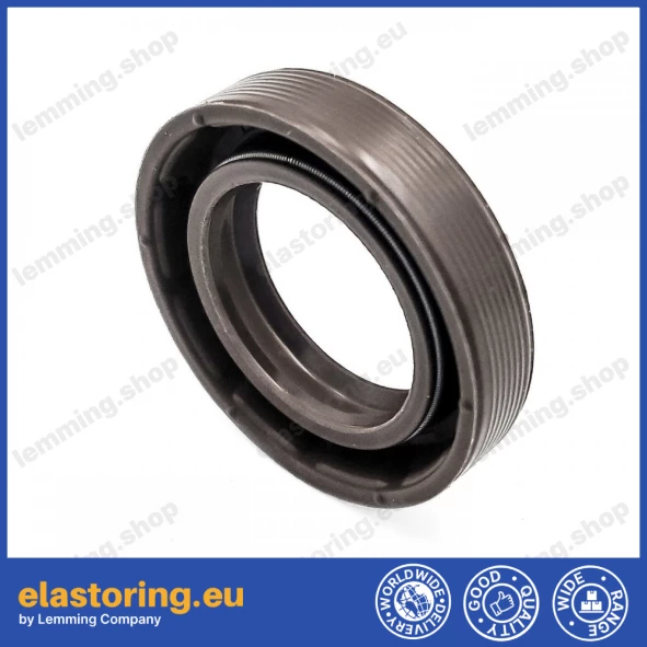 Oil seal 19x30x6,5 BAVILDSLX7 FPM