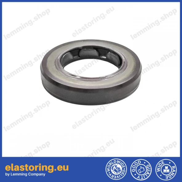 Oil seal 19x30x6 BAFSL1SF FPM Oil seal 19x30x6 BAFSL1SF FPM