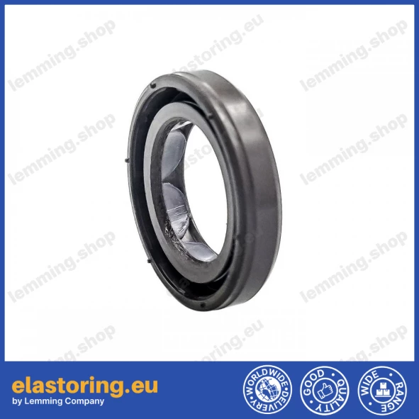 Oil seal 19x30x6 BAFSL1SF FPM Oil seal 19x30x6 BAFSL1SF FPM