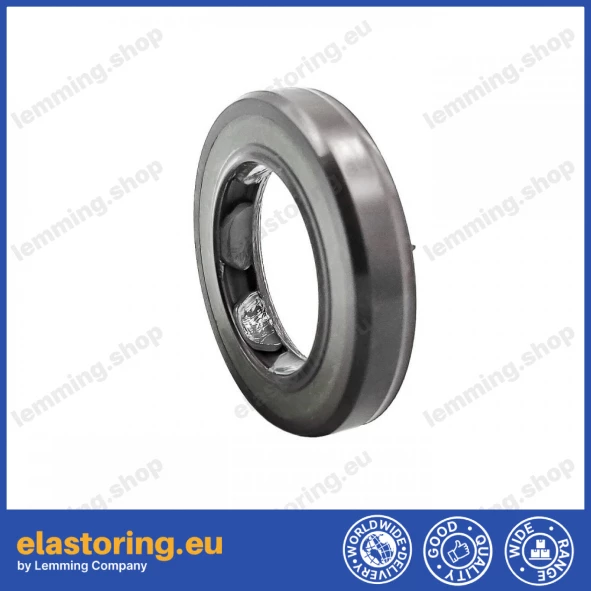 Oil seal 19x30x6 BAFSL1SF FPM Oil seal 19x30x6 BAFSL1SF FPM