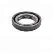 Oil seal 19x30x6 BAFSL1SF FPM Oil seal 19x30x6 BAFSL1SF FPM