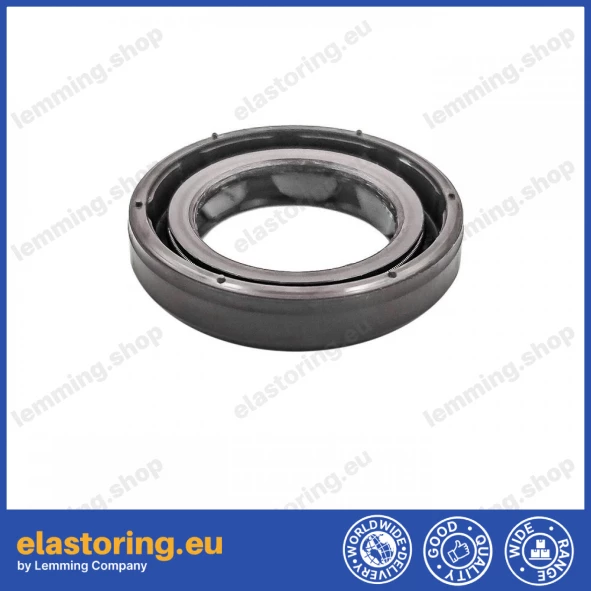Oil seal 19x30x6 BAFSL1SF FPM Oil seal 19x30x6 BAFSL1SF FPM