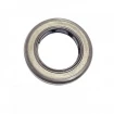 Oil seal 19x30x6 BAFSL1SF FPM Oil seal 19x30x6 BAFSL1SF FPM