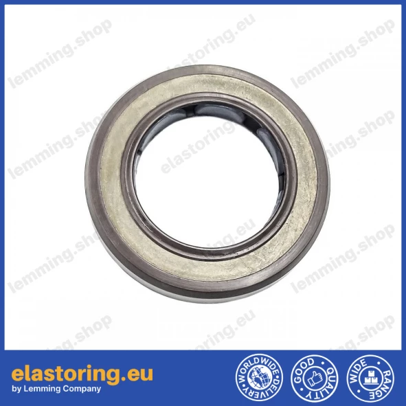 Oil seal 19x30x6 BAFSL1SF FPM Oil seal 19x30x6 BAFSL1SF FPM