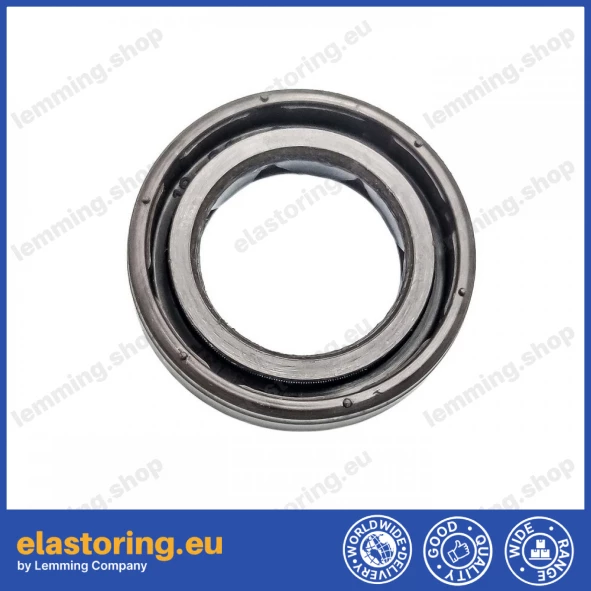 Oil seal 19x30x6 BAFSL1SF FPM Oil seal 19x30x6 BAFSL1SF FPM