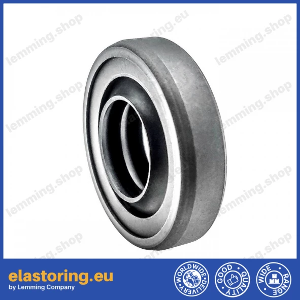 Oil seal 19x35,1x8,5 B2PT Q215+PTFE Oil seal 19x35,1x8,5 B2PT Q215+PTFE
