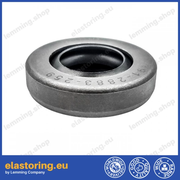 Oil seal 19x35,1x8,5 B2PT Q215+PTFE Oil seal 19x35,1x8,5 B2PT Q215+PTFE