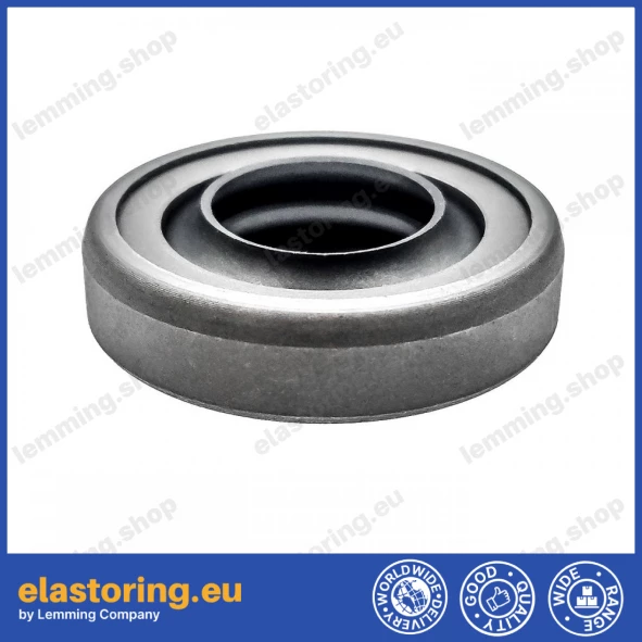 Oil seal 19x35,1x8,5 B2PT Q215+PTFE Oil seal 19x35,1x8,5 B2PT Q215+PTFE