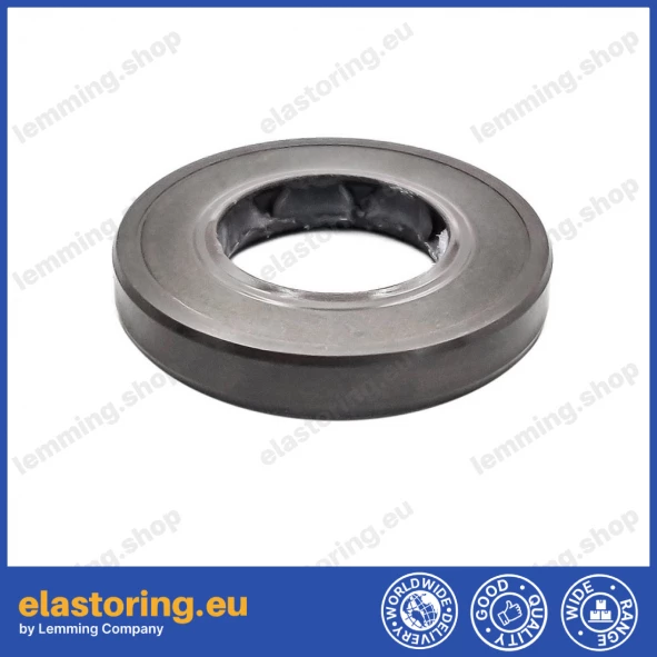 Oil seal 19x35x6 BAFSL1SF FPM Oil seal 19x35x6 BAFSL1SF FPM