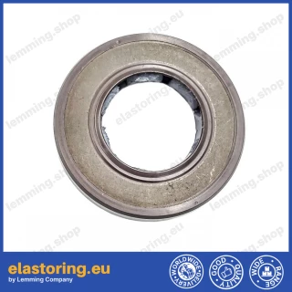 Oil seal 19x35x6 BAFSL1SF FPM