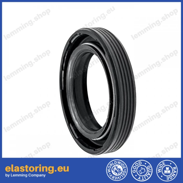 Oil seal 20x30x5/6 ASL-1PM Oil seal 20x30x5/6 ASL-1PM