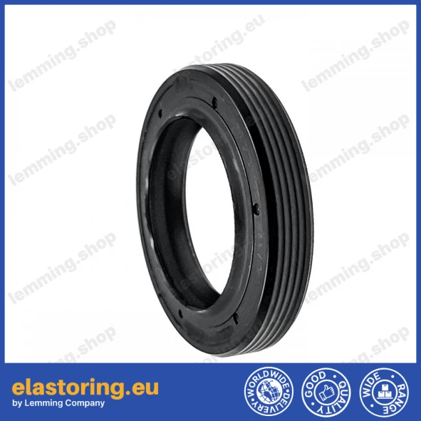 Oil seal 20x30x5/6 ASL-1PM Oil seal 20x30x5/6 ASL-1PM