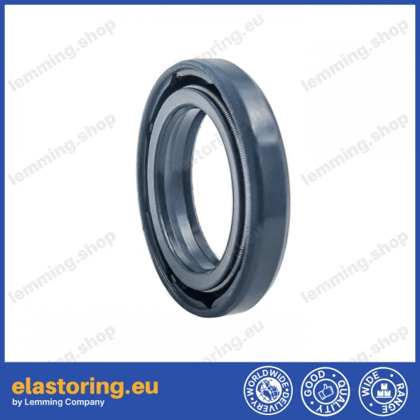 Oil seal 20x30x5/6 BAFSFSL NBR Oil seal 20x30x5/6 BAFSFSL NBR